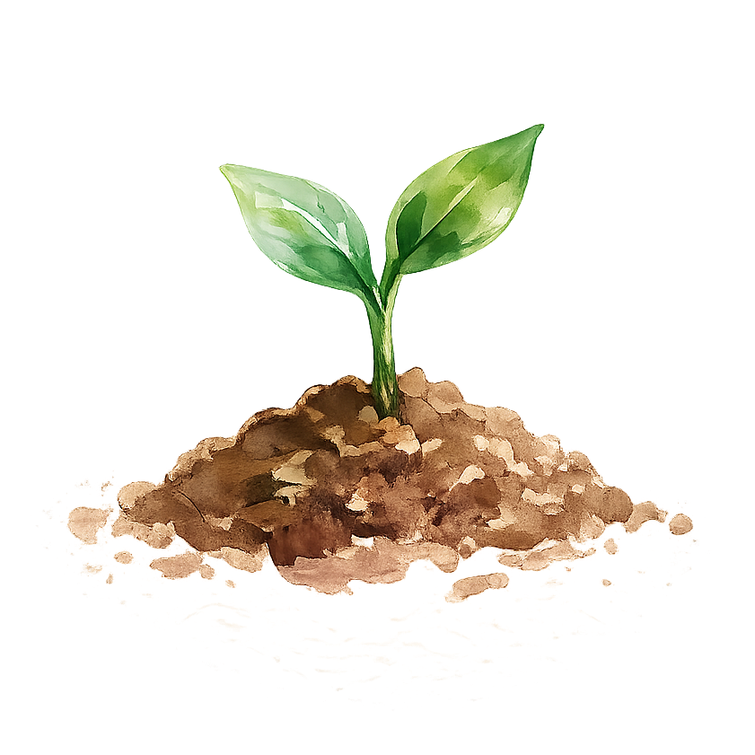 Перші кроки